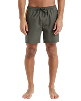 The Quiksilver Mens Everyday Holmes Volley Shorts in Grape Leaf Holmes
