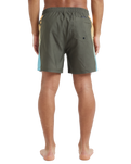 The Quiksilver Mens Everyday Holmes Volley Shorts in Grape Leaf Holmes