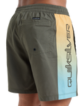 The Quiksilver Mens Everyday Holmes Volley Shorts in Grape Leaf Holmes