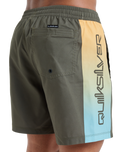 The Quiksilver Mens Everyday Holmes Volley Shorts in Grape Leaf Holmes