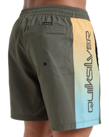 The Quiksilver Mens Everyday Holmes Volley Shorts in Grape Leaf Holmes
