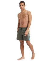 The Quiksilver Mens Everyday Holmes Volley Shorts in Grape Leaf Holmes