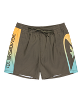 The Quiksilver Mens Everyday Holmes Volley Shorts in Grape Leaf Holmes