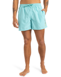 The Quiksilver Mens Fineline Volley Shorts in Aqua Sky