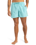 The Quiksilver Mens Fineline Volley Shorts in Aqua Sky