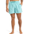 The Quiksilver Mens Fineline Volley Shorts in Aqua Sky