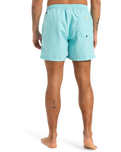The Quiksilver Mens Fineline Volley Shorts in Aqua Sky