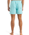 The Quiksilver Mens Fineline Volley Shorts in Aqua Sky