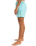The Quiksilver Mens Fineline Volley Shorts in Aqua Sky