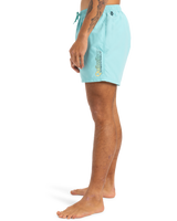 The Quiksilver Mens Fineline Volley Shorts in Aqua Sky