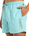 The Quiksilver Mens Fineline Volley Shorts in Aqua Sky