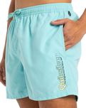 The Quiksilver Mens Fineline Volley Shorts in Aqua Sky