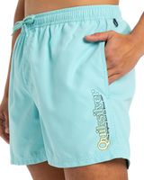 The Quiksilver Mens Fineline Volley Shorts in Aqua Sky