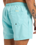 The Quiksilver Mens Fineline Volley Shorts in Aqua Sky