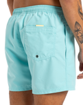 The Quiksilver Mens Fineline Volley Shorts in Aqua Sky