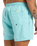 The Quiksilver Mens Fineline Volley Shorts in Aqua Sky