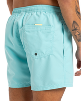 The Quiksilver Mens Fineline Volley Shorts in Aqua Sky