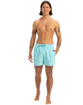 The Quiksilver Mens Fineline Volley Shorts in Aqua Sky