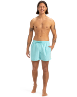 The Quiksilver Mens Fineline Volley Shorts in Aqua Sky