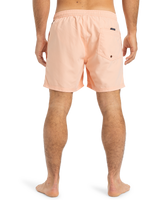The Quiksilver Mens Fineline Volley Shorts in Peach Parfait