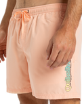 The Quiksilver Mens Fineline Volley Shorts in Peach Parfait