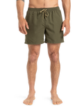 The Quiksilver Mens Fineline Volley Shorts in Aloe
