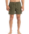The Quiksilver Mens Fineline Volley Shorts in Aloe