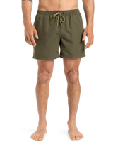 The Quiksilver Mens Fineline Volley Shorts in Aloe