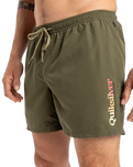 The Quiksilver Mens Fineline Volley Shorts in Aloe