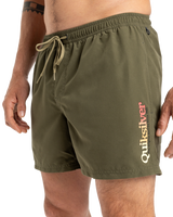 The Quiksilver Mens Fineline Volley Shorts in Aloe