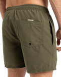 The Quiksilver Mens Fineline Volley Shorts in Aloe