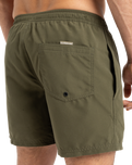The Quiksilver Mens Fineline Volley Shorts in Aloe