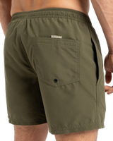 The Quiksilver Mens Fineline Volley Shorts in Aloe