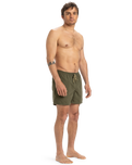 The Quiksilver Mens Fineline Volley Shorts in Aloe