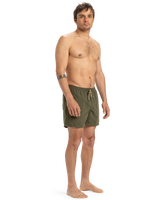 The Quiksilver Mens Fineline Volley Shorts in Aloe