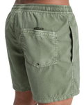 Everyday Surfwash Volley Shorts in Grape Leaf