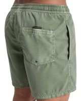 Everyday Surfwash Volley Shorts in Grape Leaf