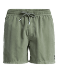 Everyday Surfwash Volley Shorts in Grape Leaf
