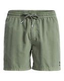 Everyday Surfwash Volley Shorts in Grape Leaf