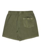 Everyday Surfwash Volley Shorts in Grape Leaf