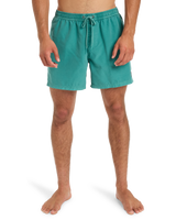 Everyday Surfwash Volley Shorts in Deep Sea