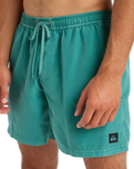 Everyday Surfwash Volley Shorts in Deep Sea
