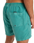 Everyday Surfwash Volley Shorts in Deep Sea