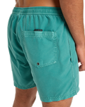 Everyday Surfwash Volley Shorts in Deep Sea