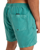 Everyday Surfwash Volley Shorts in Deep Sea