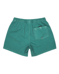 Everyday Surfwash Volley Shorts in Deep Sea