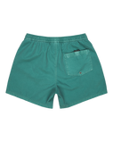 Everyday Surfwash Volley Shorts in Deep Sea