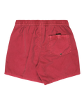 Everyday Surfwash Volley Shorts in Burnt Russet