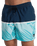 The Quiksilver Mens Everyday Poolsider Swimshorts in Dark Navy Panel Nat Geo