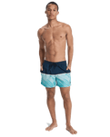 The Quiksilver Mens Everyday Poolsider Swimshorts in Dark Navy Panel Nat Geo